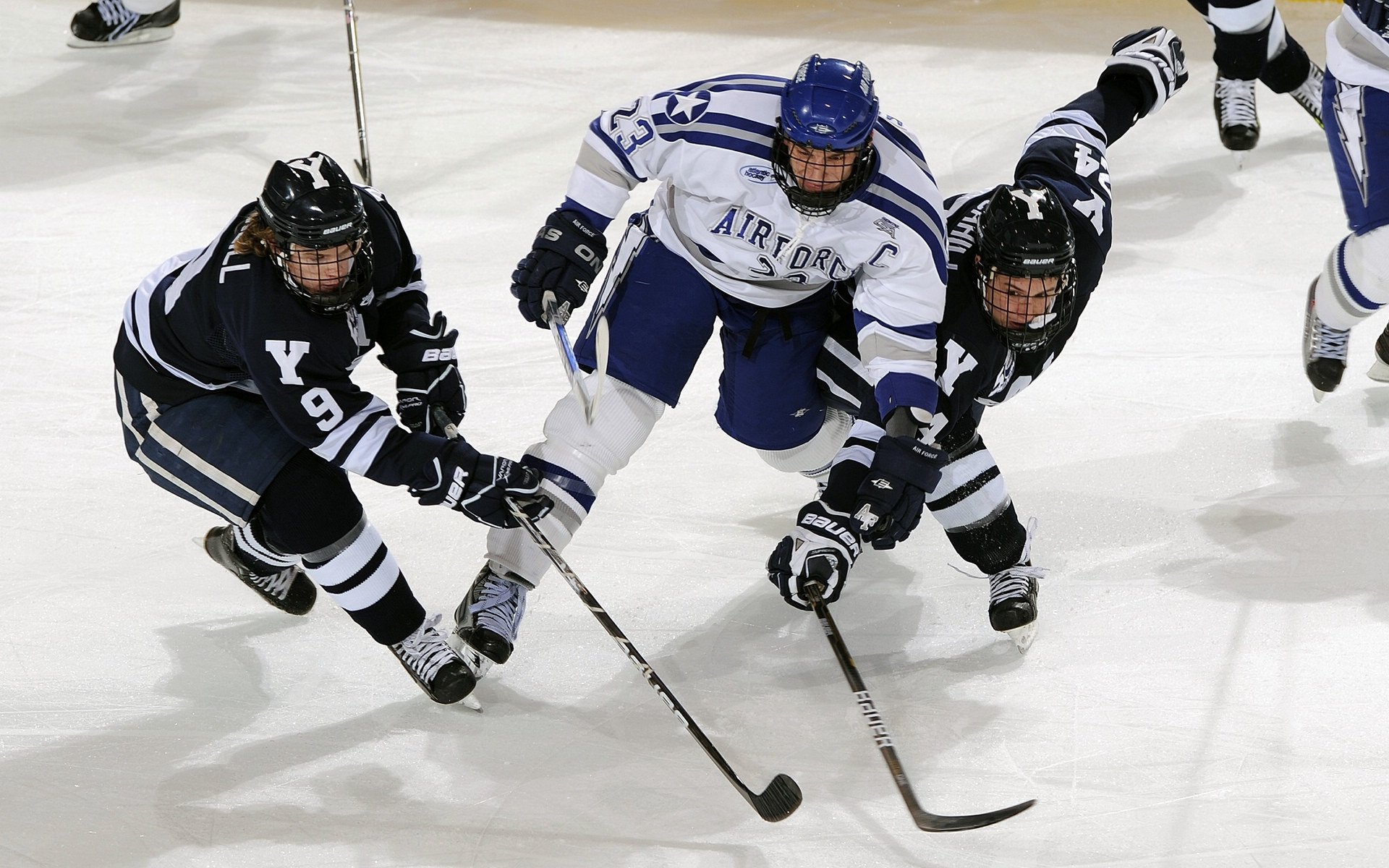 九游体育下载-人才市场：电竞与体育行业跨界人才的培养与流动趋势，电竞人才的发展前景
